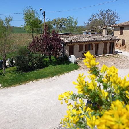 Agriturismo Il Borghetto Montefalco Zewnętrze zdjęcie