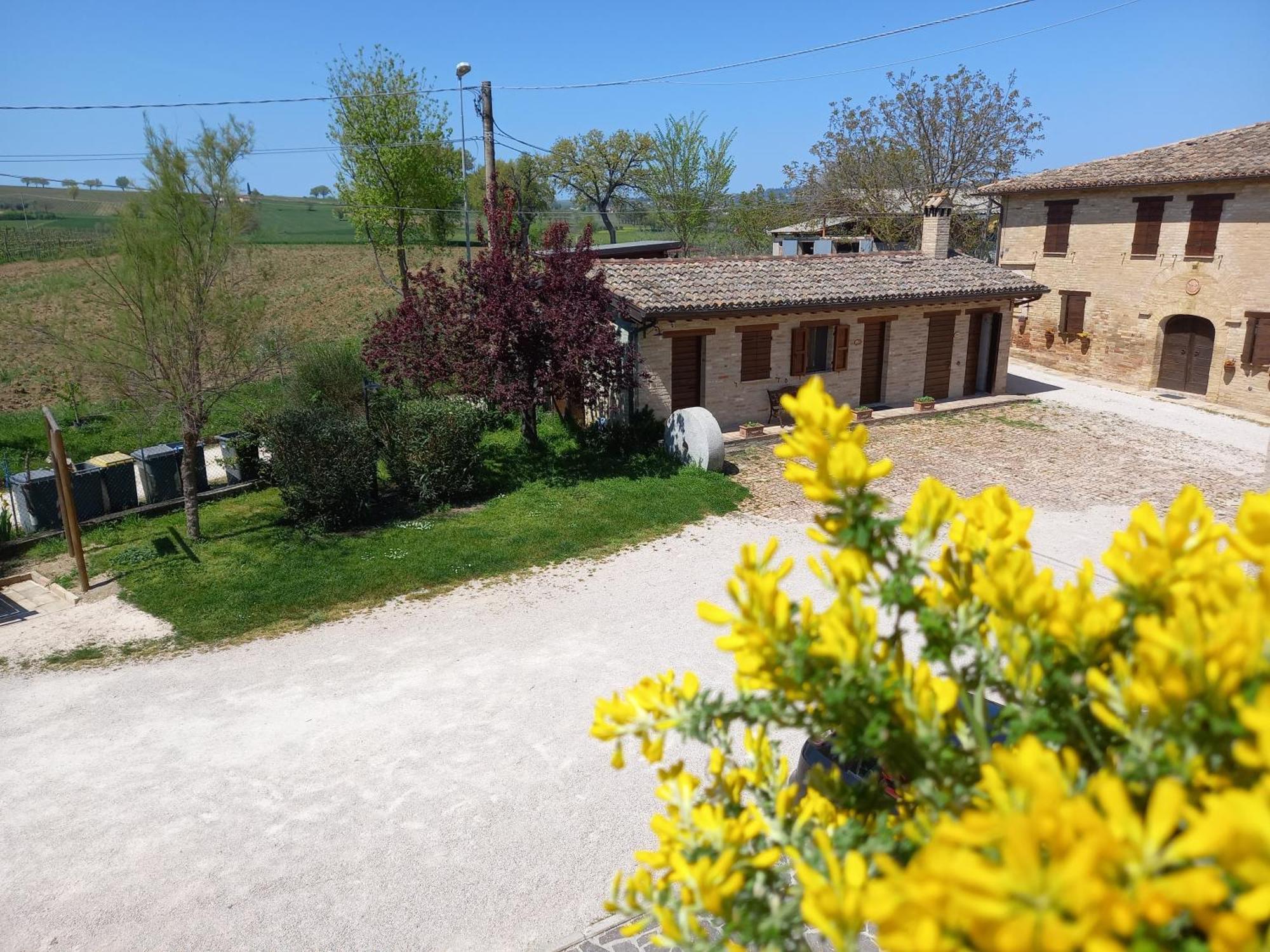 Agriturismo Il Borghetto Montefalco Zewnętrze zdjęcie